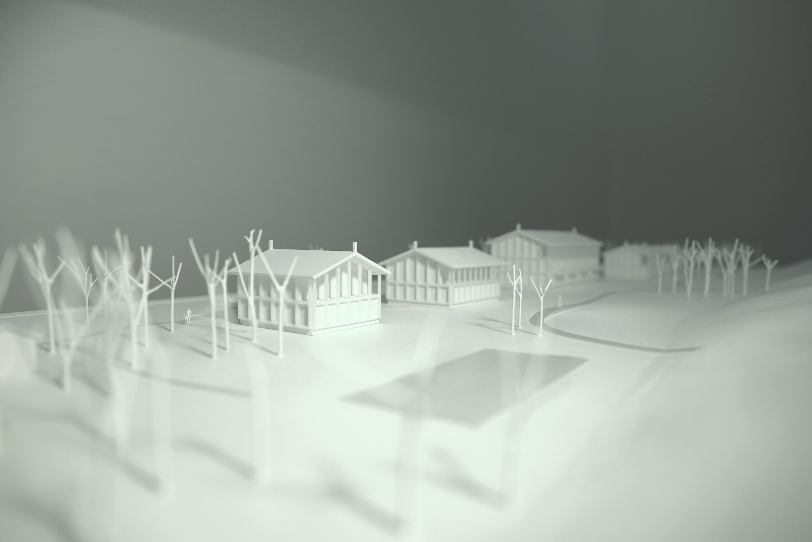 img-4434